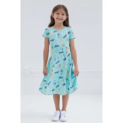Bluey Mom Dad Bingo Girls 2 Pack Skater Dresses Toddler To Big Kid