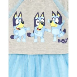 Bluey Girls French Terry Dress Little Kid To Big