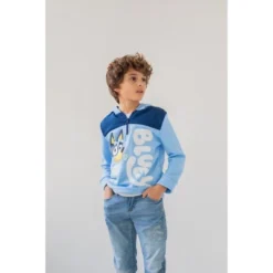 Bluey Bingo Fleece Half Zip Hoodie Toddler To Big Kid