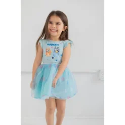 Bluey Bingo Bluey Girls Dress Toddler To Big Kid
